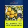 Sanpellegrino Pompelmo - Sparkling Grapefruit Drink