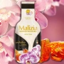 Malizia Bath Foam Orchid & Amber 1000ml – Luxury Body Care - Bagno schiuma Orchidea & Ambra
