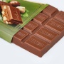 Milk Chocolate with Hazelnuts 100g – Novi