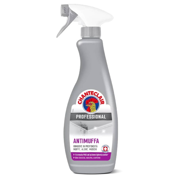Mould Degreaser Professional 700ml – Chanteclair
