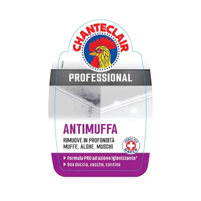 Mould Degreaser Professional 700ml – Chanteclair