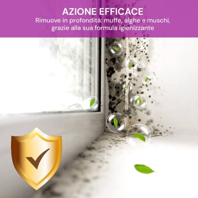 Mould Degreaser Professional 700ml – Chanteclair