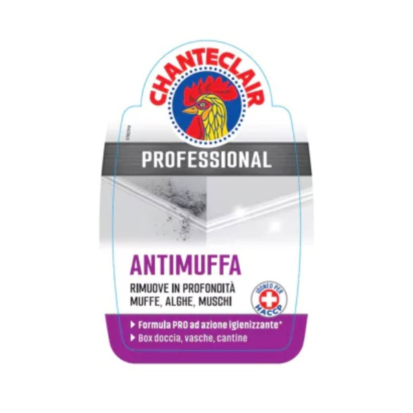 Mould Degreaser Professional 700ml – Chanteclair