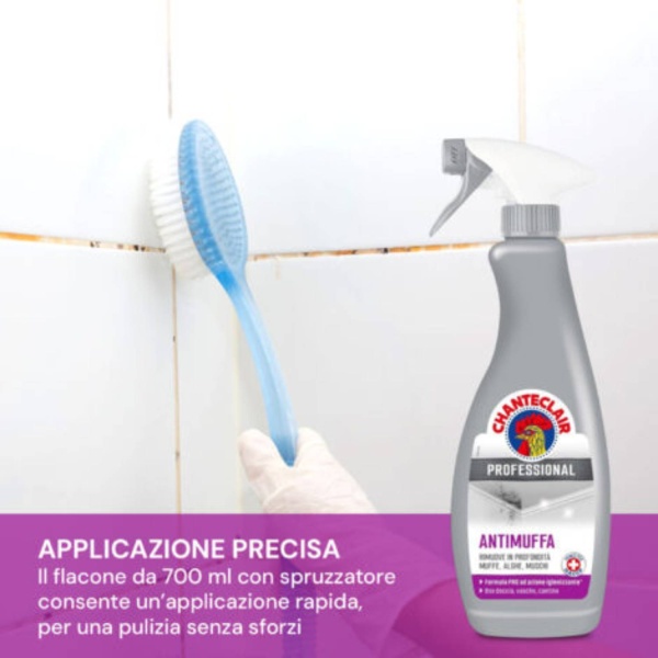 Mould Degreaser Professional 700ml – Chanteclair