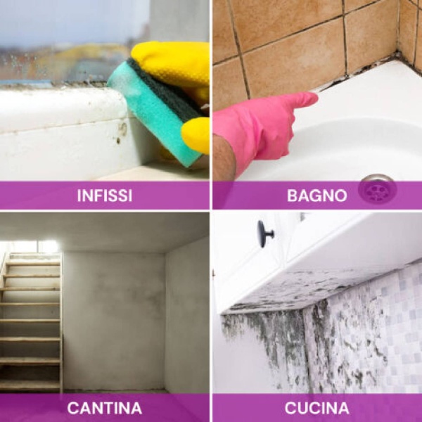 Mould Degreaser Professional 700ml – Chanteclair