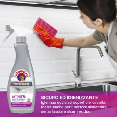 Mould Degreaser Professional 700ml – Chanteclair