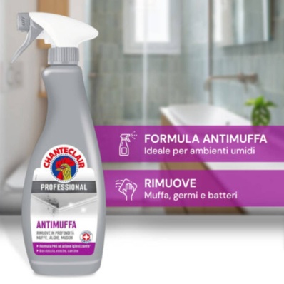 Mould Degreaser Professional 700ml – Chanteclair