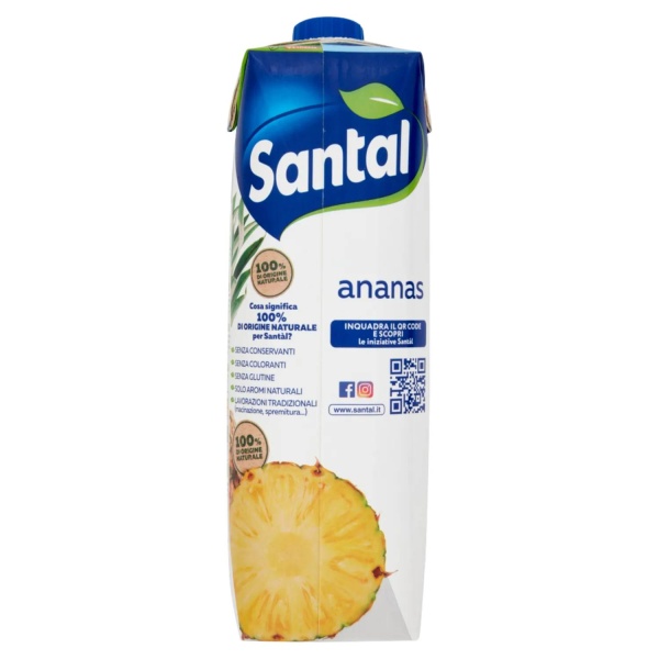 Santàl Pineapple Juice Drink 1L